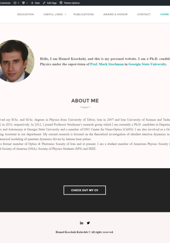 screencapture-localhost-hamedii-website-wordpress-1485929230722
